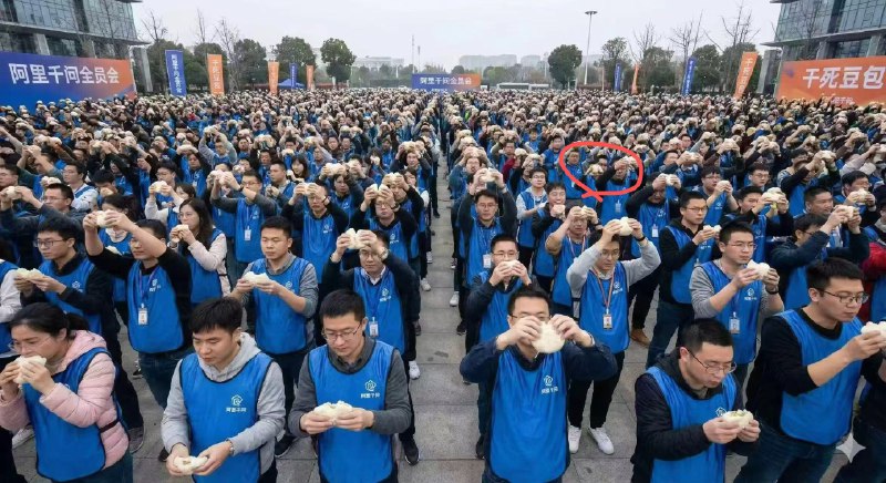 杰克船长宏观策略 (@yanbojack)