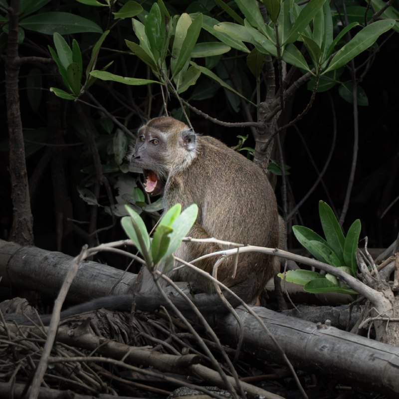 #光与影#光与影