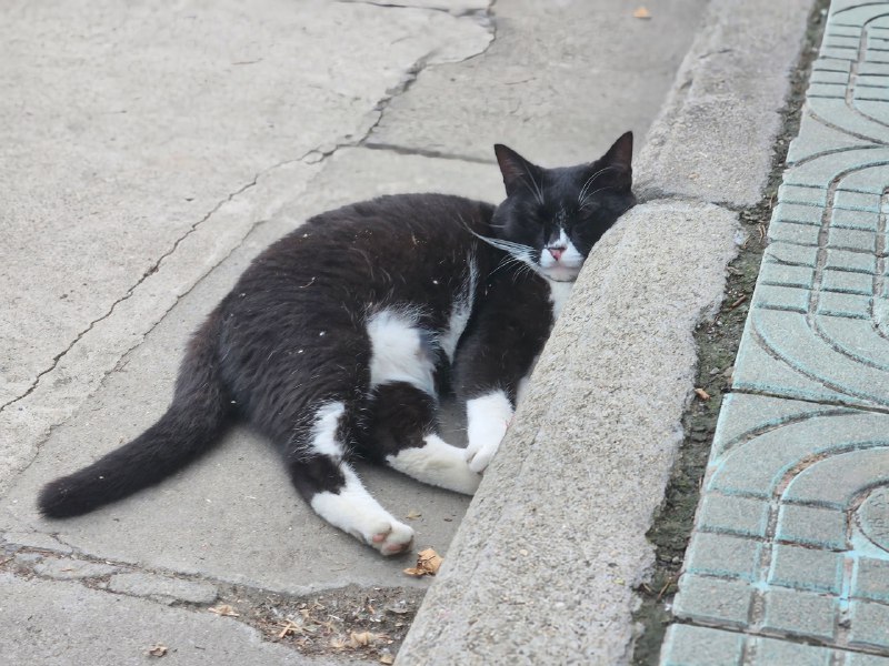 离开之后，大概会怀念这里的指隔壁学校离开之后，大概会怀念这里的指隔壁学校