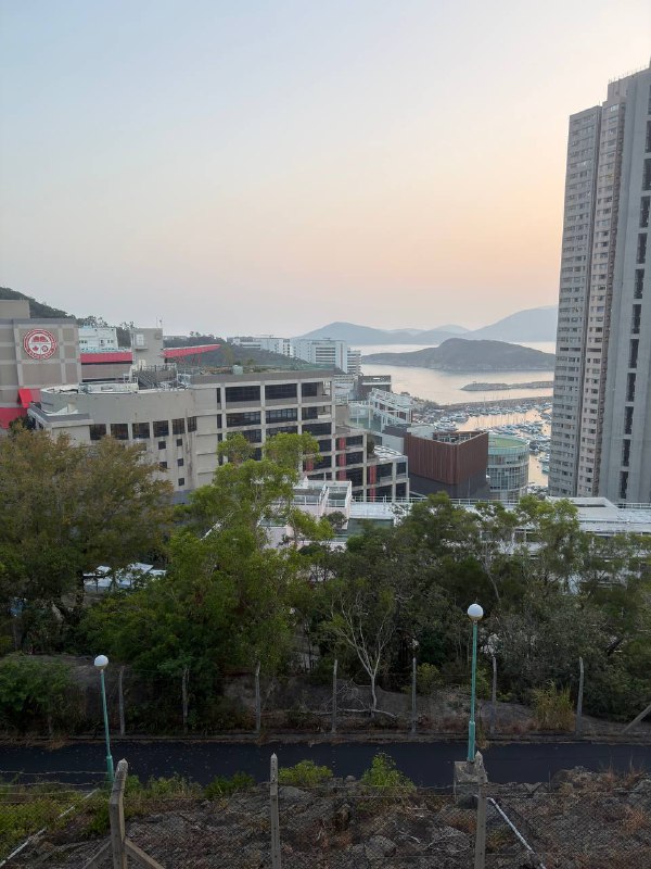 爬山山上遇到了野猪🐗，四下里没人，怕被创死，头也不回赶紧走了爬山山上遇到了野猪🐗，四下里没人，怕被创死，头也不回赶紧走了