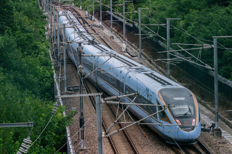 终于不热了，和柚子去拍车了终于不热了，和柚子去拍车了