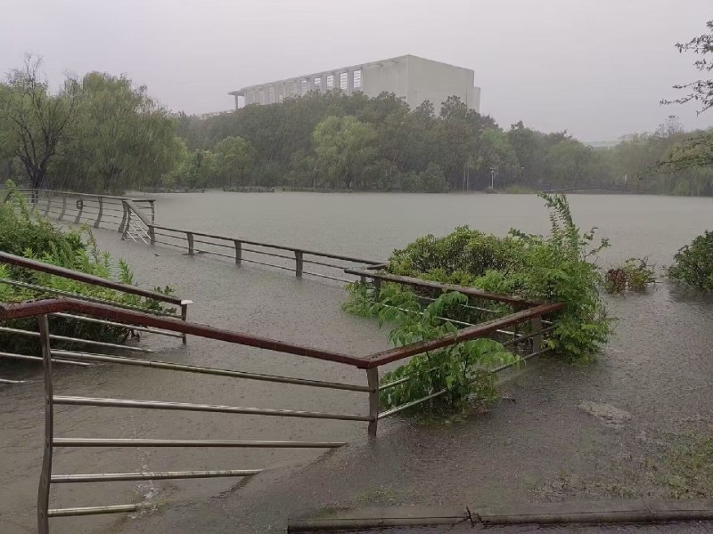 欢迎来我校看海欢迎来我校看海