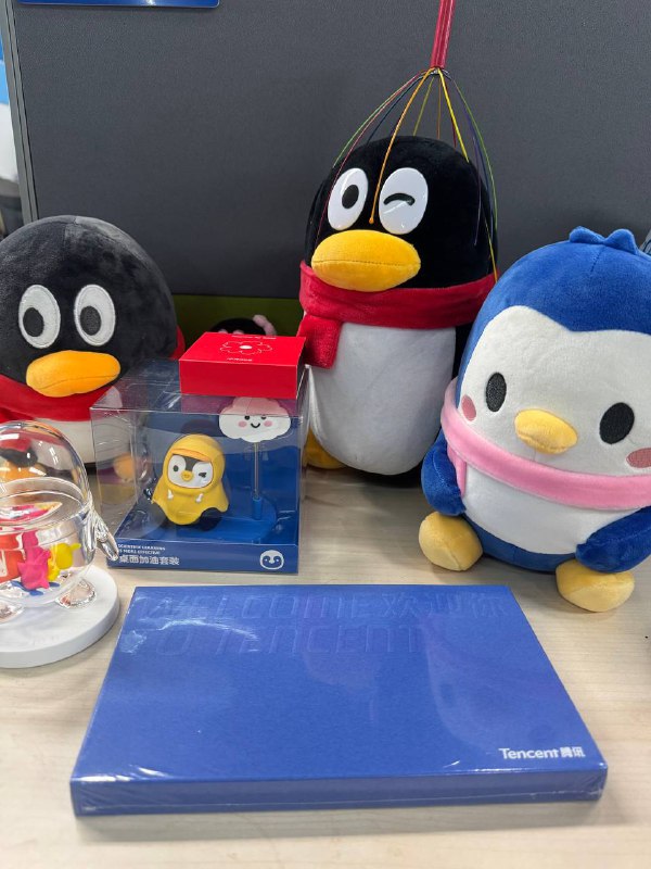 入职Day1！入职Day1！