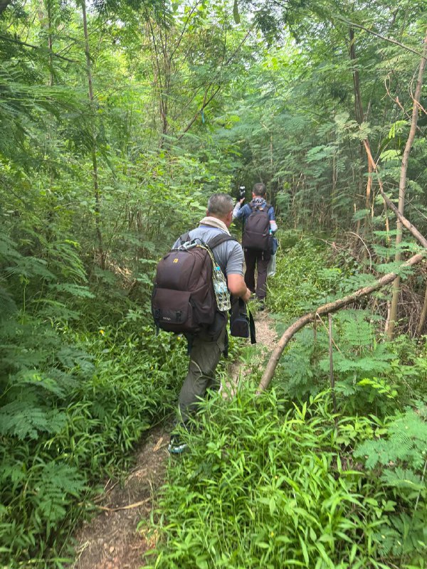 神人机位也就钓鱼佬和摄影佬能扒到了体验了下热带雨林里走线神人机位也就钓鱼佬和摄影佬能扒到了体验了下热带雨林里走线
