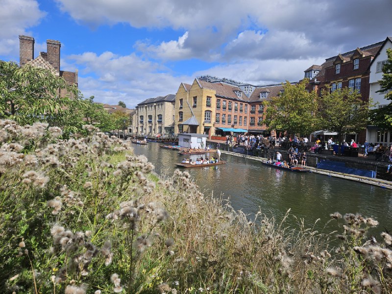 每天都是好天气每天都是好天气