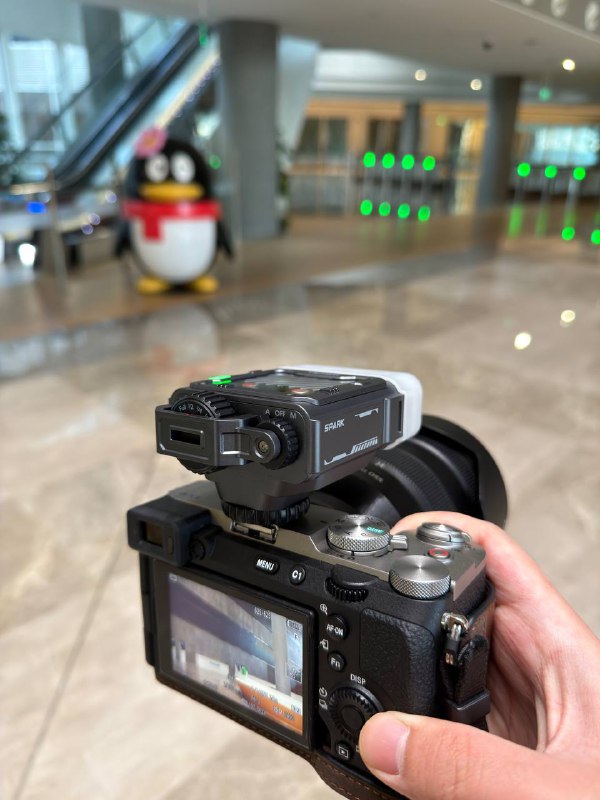 今日活动主理人兼摄影师