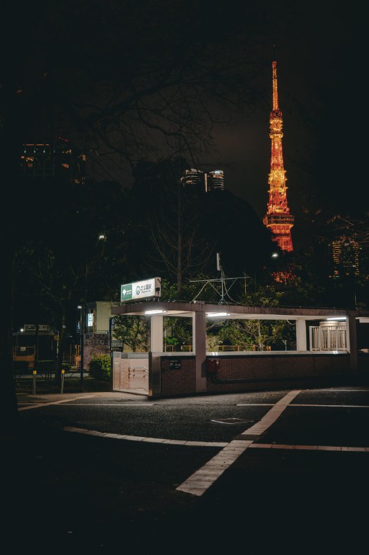 #光与影 新年的第一缕阳光#光与影 新年的第一缕阳光