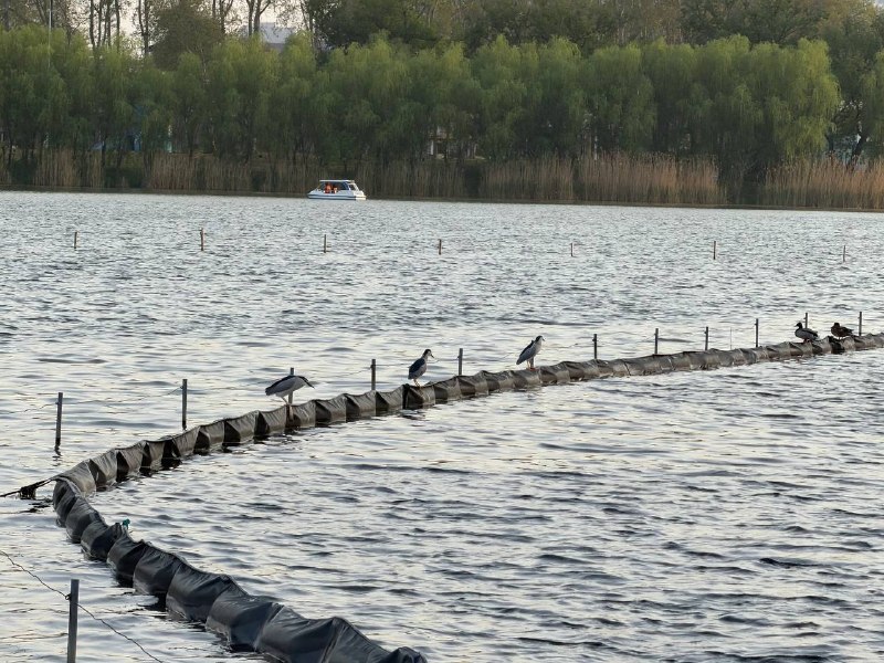 夜师傅太可爱了