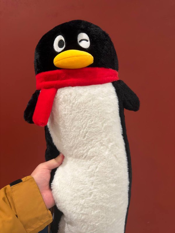 持证上岗！持证上岗！