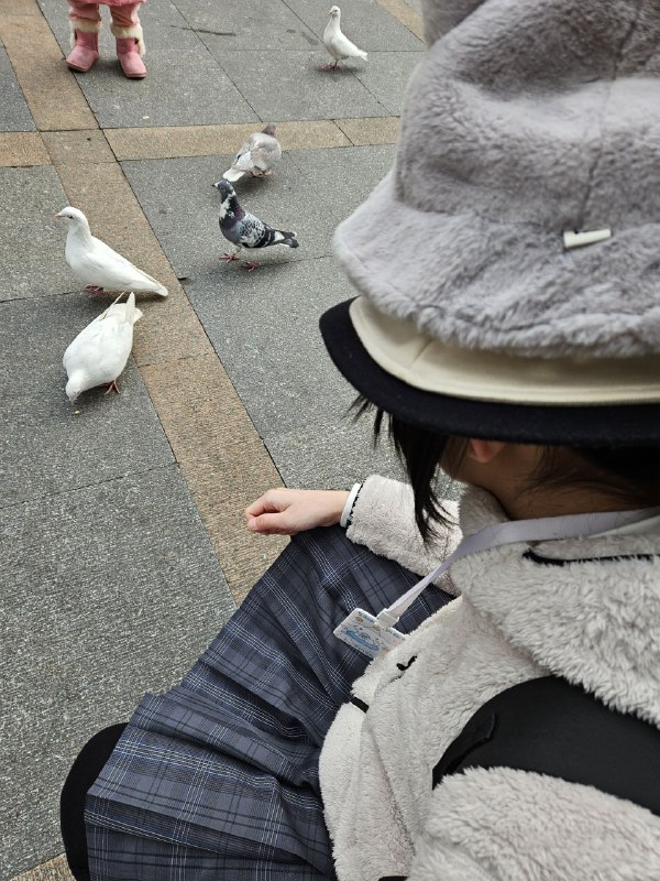 试图空手骗鸽子的某人试图空手骗鸽子的某人
