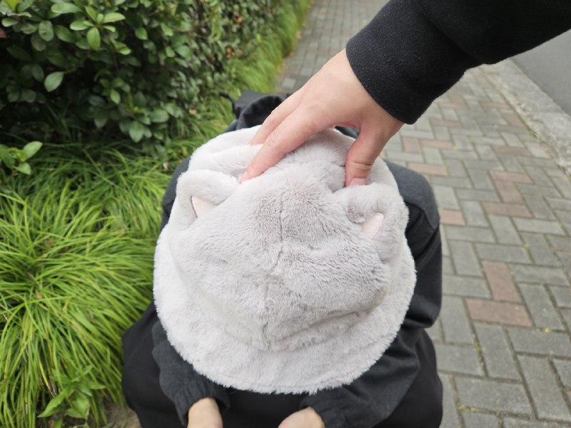 捡到只猫家人们