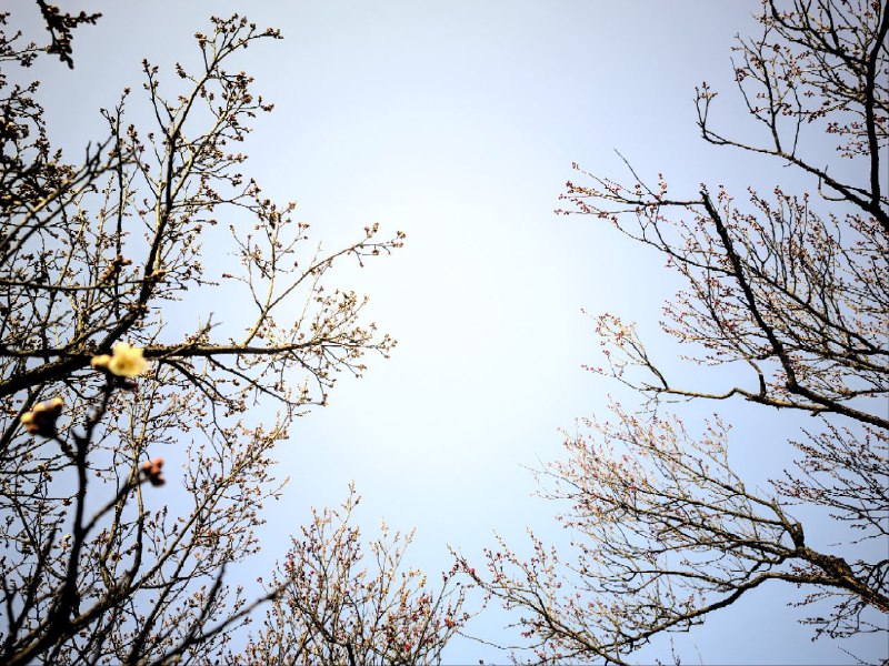 #日常 #图库 #风景 今日#日常 #图库 #风景 今日