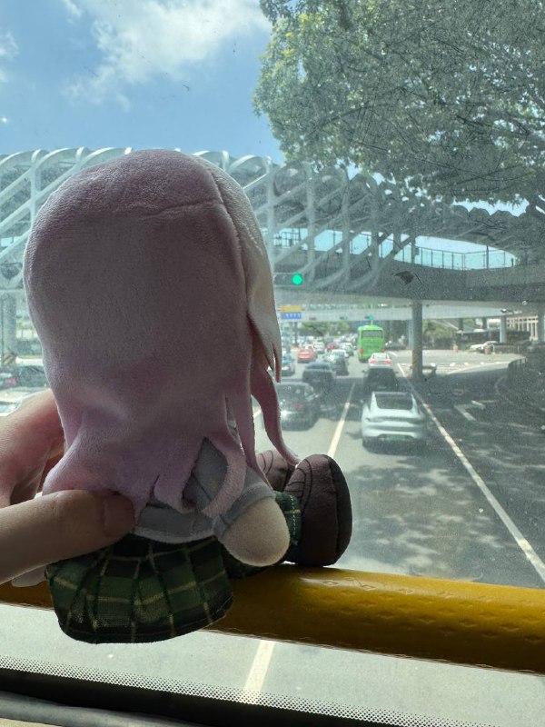 带出门去参加疯狂星期六