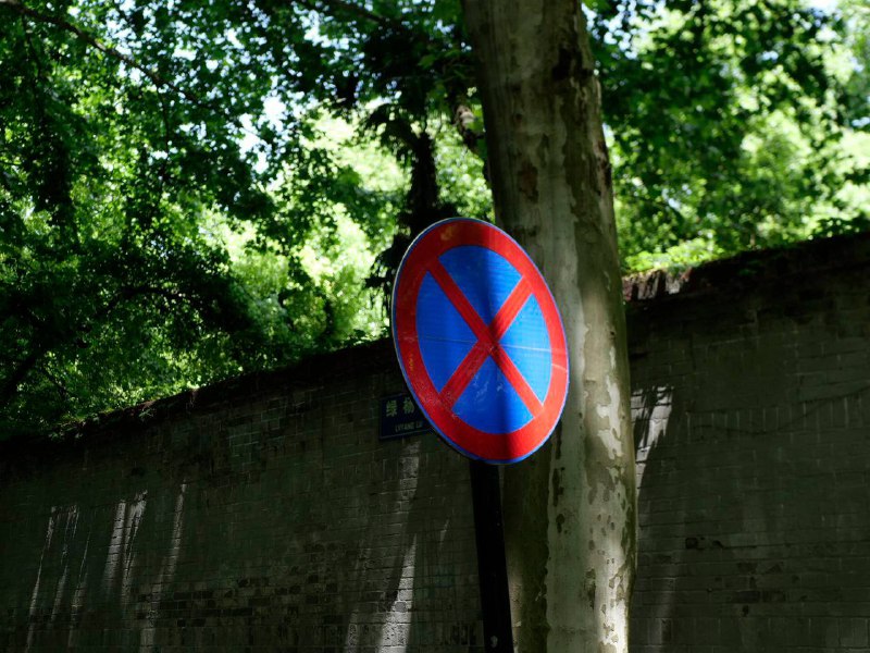 和熊熊的贴贴，美好五一结束了🥰和熊熊的贴贴，美好五一结束了🥰