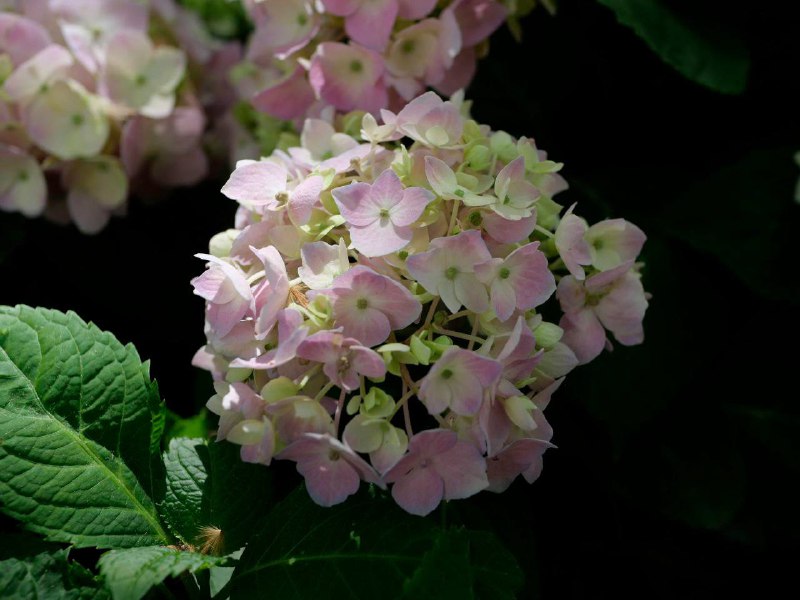 和熊熊的贴贴，美好五一结束了🥰和熊熊的贴贴，美好五一结束了🥰
