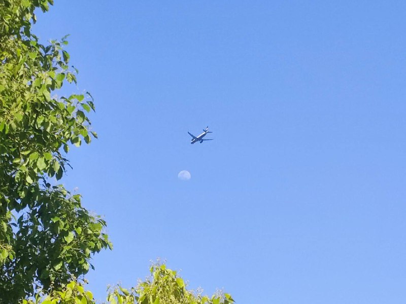 和熊熊的贴贴，美好五一结束了🥰和熊熊的贴贴，美好五一结束了🥰