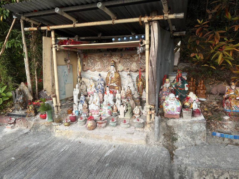 爬山山上遇到了野猪🐗，四下里没人，怕被创死，头也不回赶紧走了爬山山上遇到了野猪🐗，四下里没人，怕被创死，头也不回赶紧走了