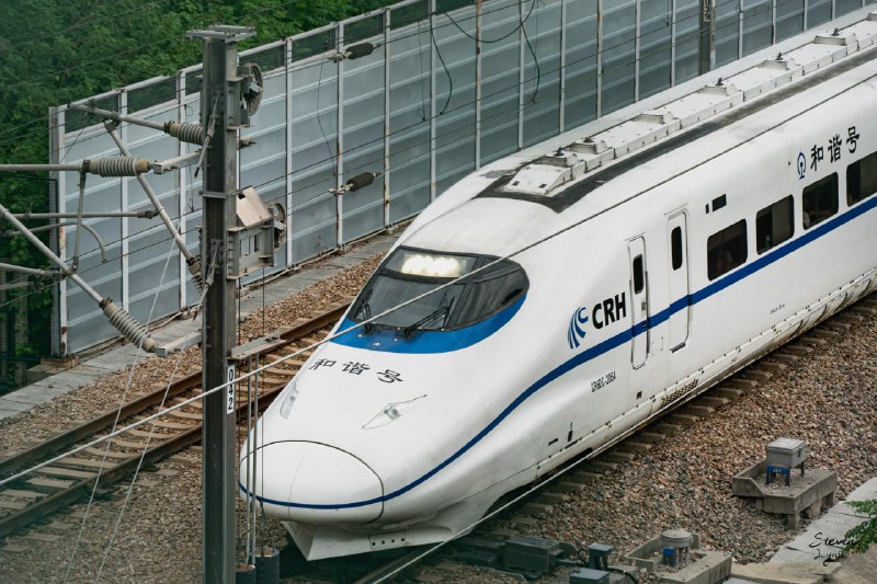 终于不热了，和柚子去拍车了终于不热了，和柚子去拍车了