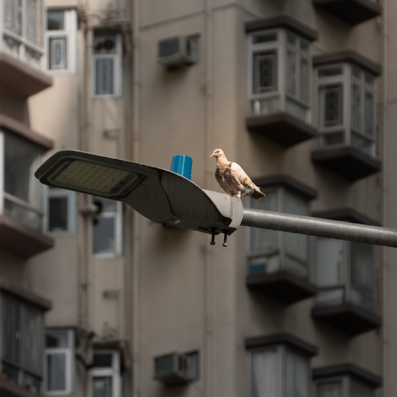 hk#光与影hk#光与影