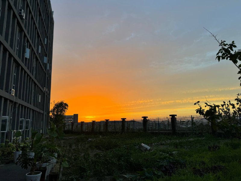 被学校卖到鬼偏的地方实习，连坐五个多小时高铁又转大巴，信号只有两格4G，住宿区装修的像监狱，周围都没什么小店，楼下小卖部比罗森还贵，我都不知道接下来两个星期怎么过又因为学校耽误了半个月时间😇被学校卖到鬼偏的地方实习，连坐五个多小时高铁又转大巴，信号只有两格4G，住宿区装修的像监狱，周围都没什么小店，楼下小卖部比罗森还贵，我都不知道接下来两个星期怎么过又因为学校耽误了半个月时间😇