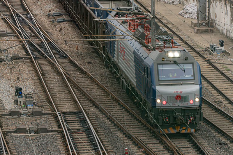 终于不热了，和柚子去拍车了终于不热了，和柚子去拍车了