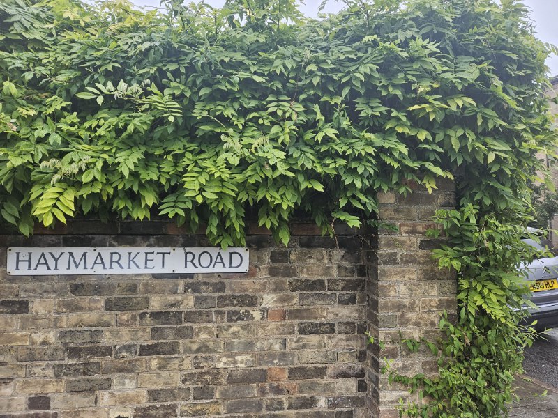 处处都是景处处都是景