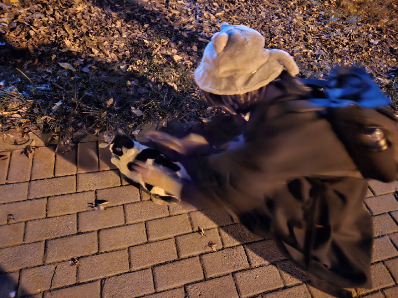 正在给猫猫附魔