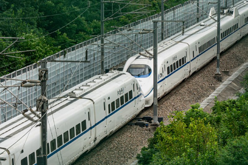 终于不热了，和柚子去拍车了终于不热了，和柚子去拍车了