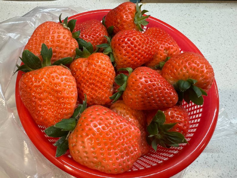 可惜草莓太贵了