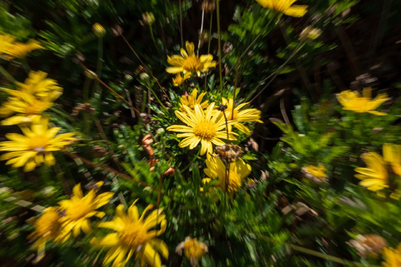 炸焦，方法是对焦好之后快速收光圈的同时按快门