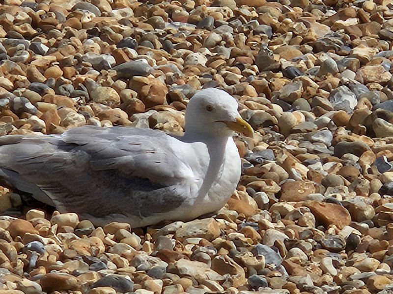 人生的意义就是去码头整点薯条人生的意义就是去码头整点薯条