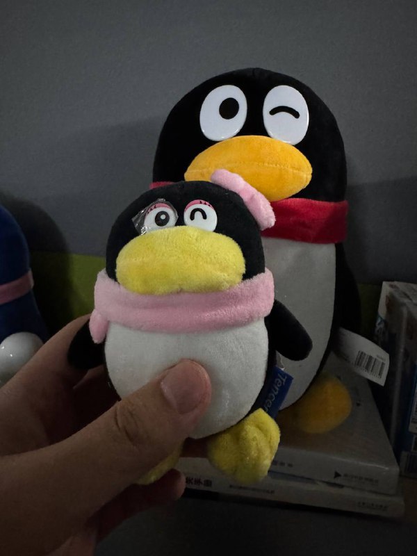 活动整了一只QM，好可爱