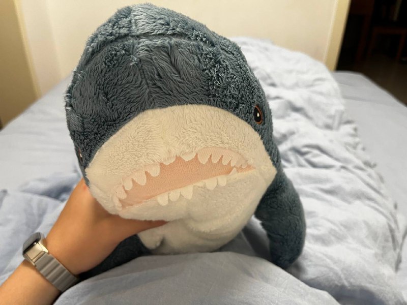 腿完蛋了今晚就抱着这只熊熊送的鲨鲨直接睡死😋腿完蛋了今晚就抱着这只熊熊送的鲨鲨直接睡死😋