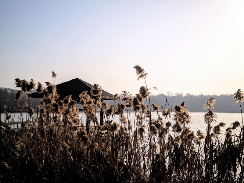 #日常 #图库 #风景 今日#日常 #图库 #风景 今日